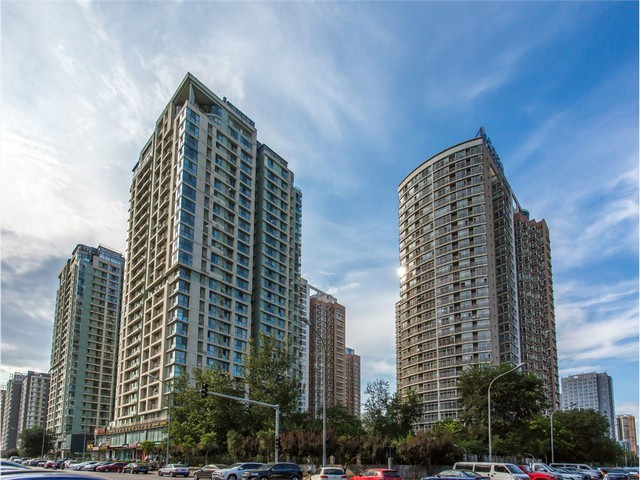 广东声波电动牙刷批发